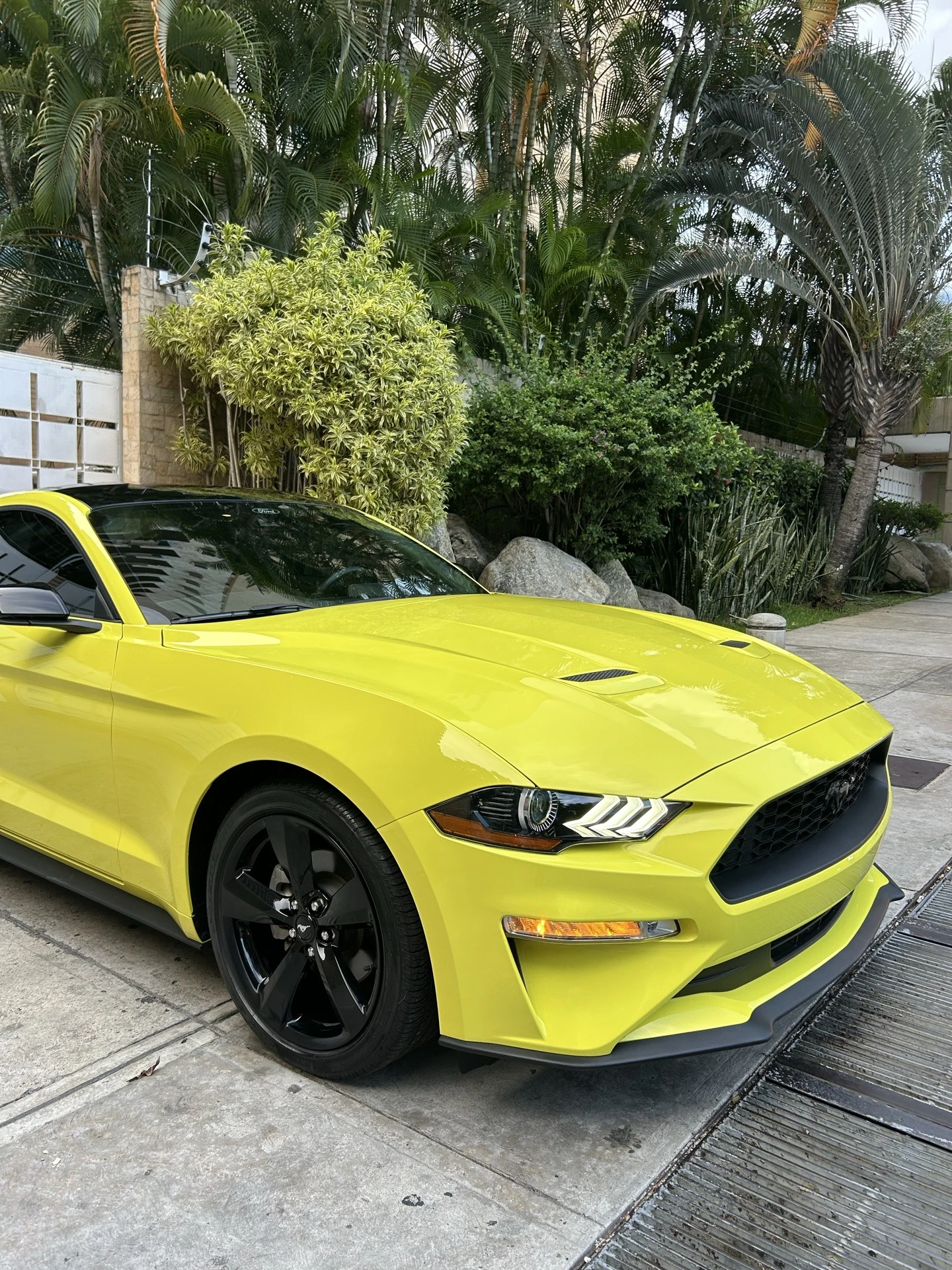 2021 Ford Mustang Ecoboost Premium — foto 10