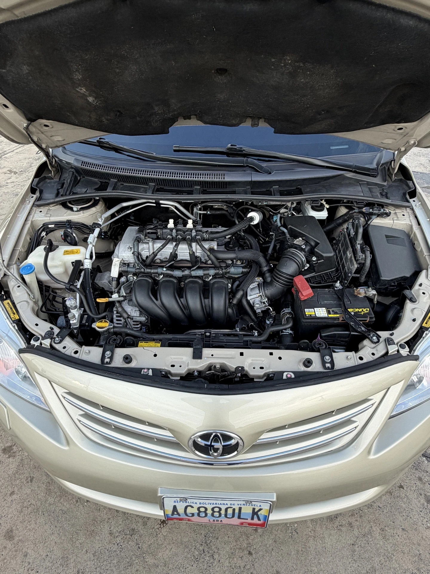 2014 Toyota Corolla GLI — foto 6