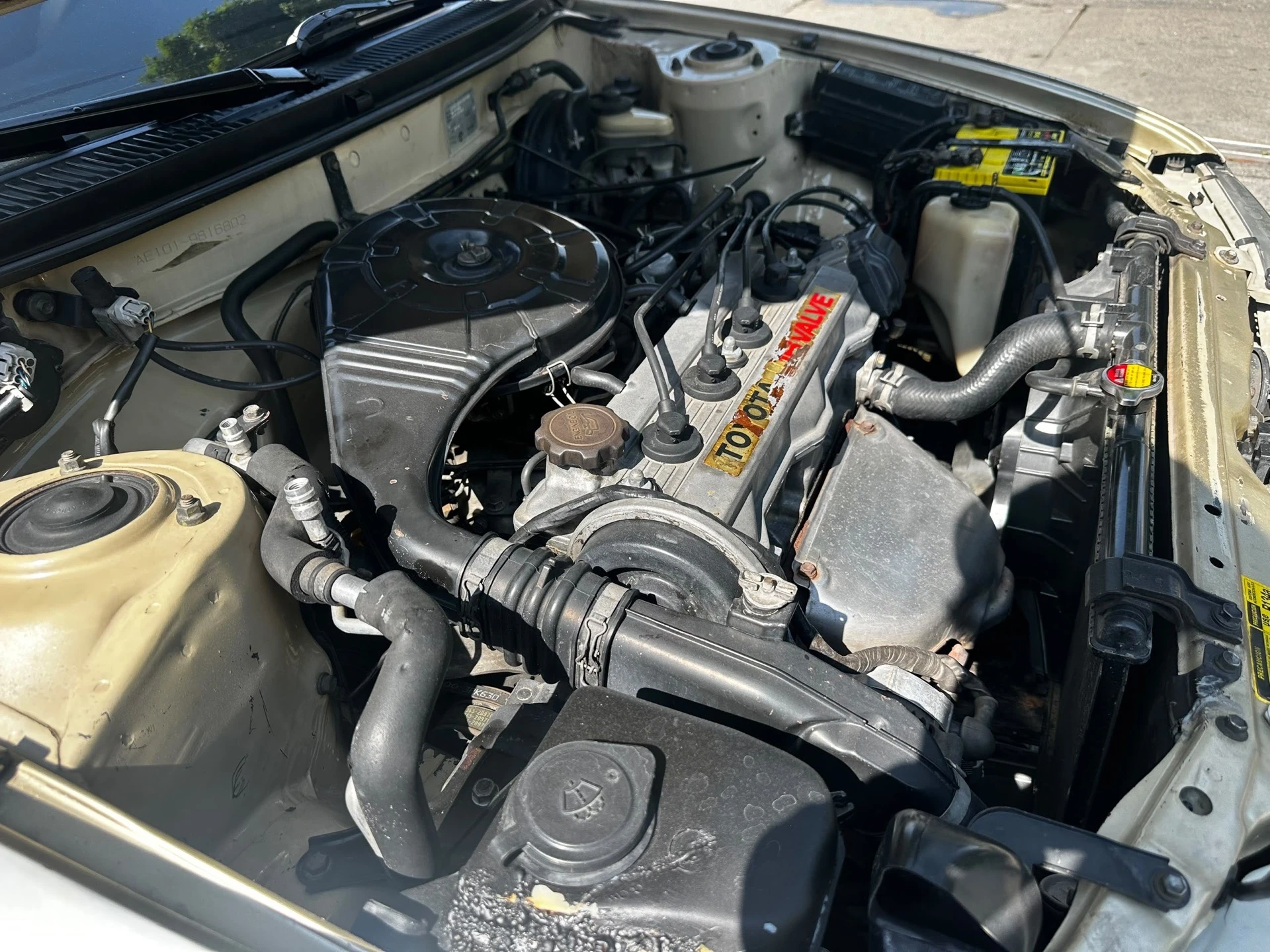 1995 Toyota Corolla Xl — foto 6