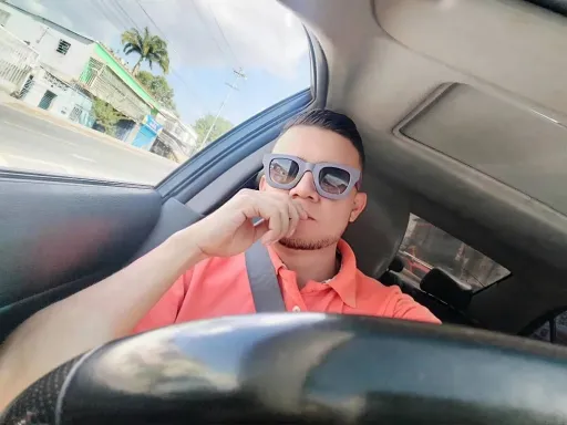 domingo elvis